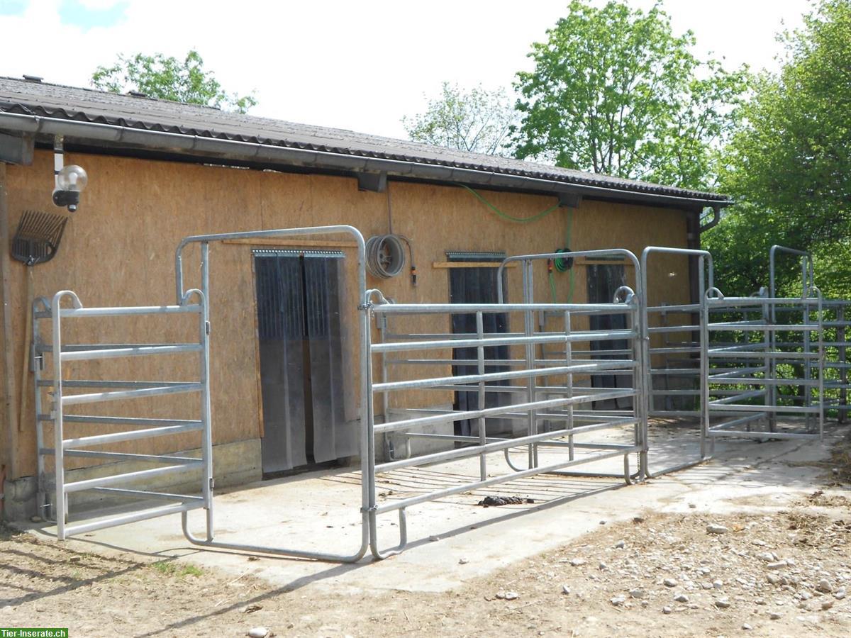 Bild 2: Pferdebox mit Vollpension auf Biohof im Baselland