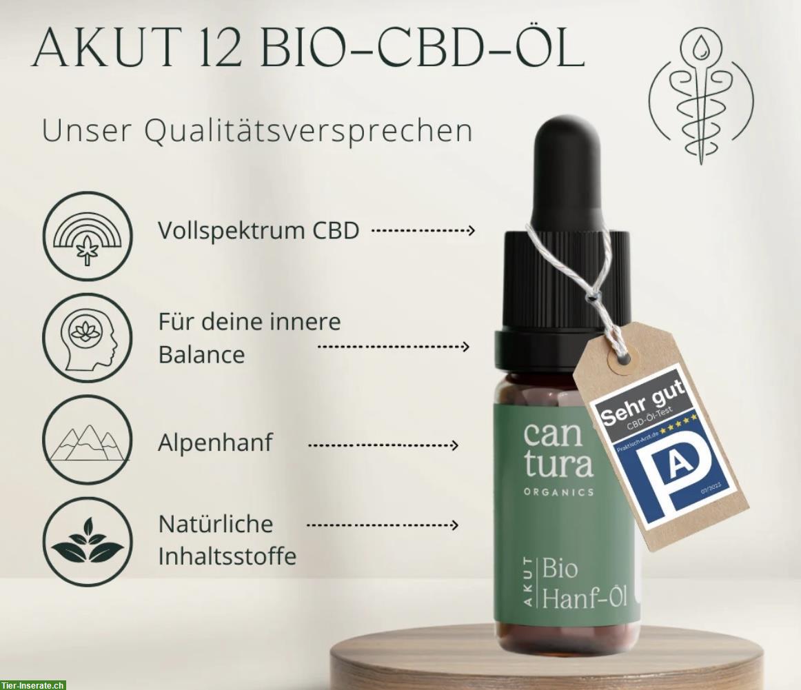 Cantura Akut Bio Hanf Öl 12% CBD 10 ml