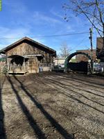 Offenstallplatz auf Biohof zu vermieten in Kastanienbaum LU