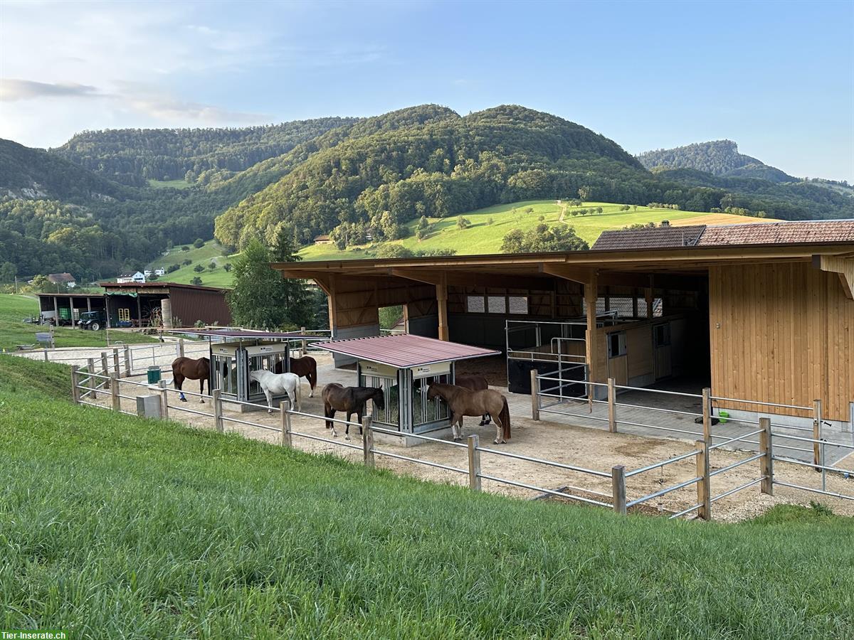 Offenstall auf dem Eichhof in Zeglingen BL