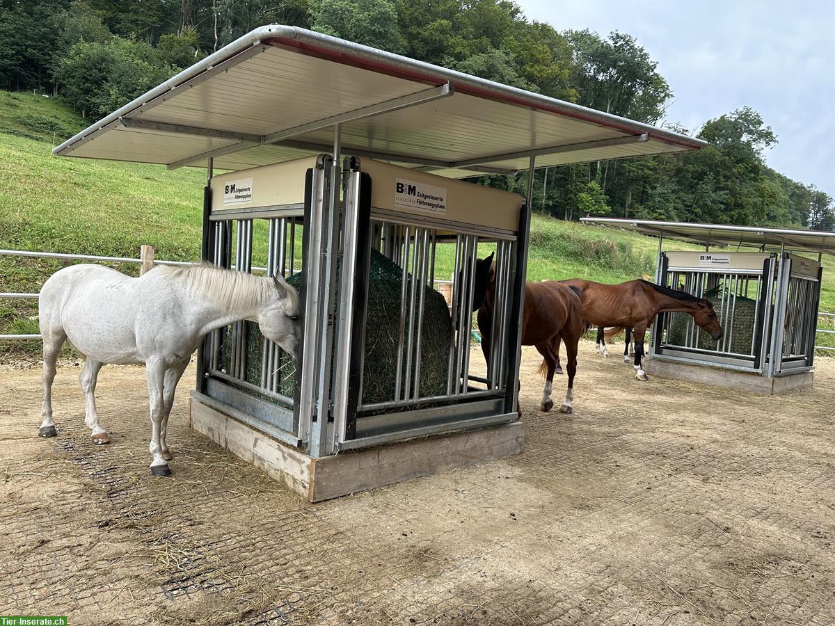 Bild 6: Offenstall auf dem Eichhof in Zeglingen BL