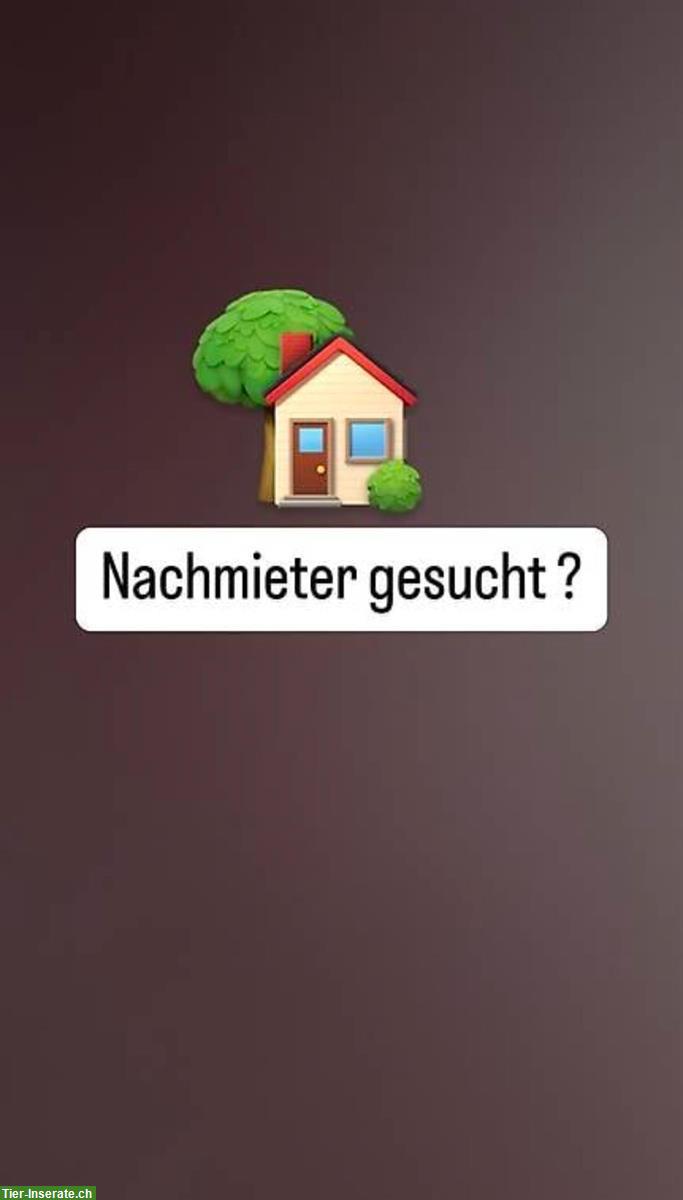 Wohnungssuche NOTFALL