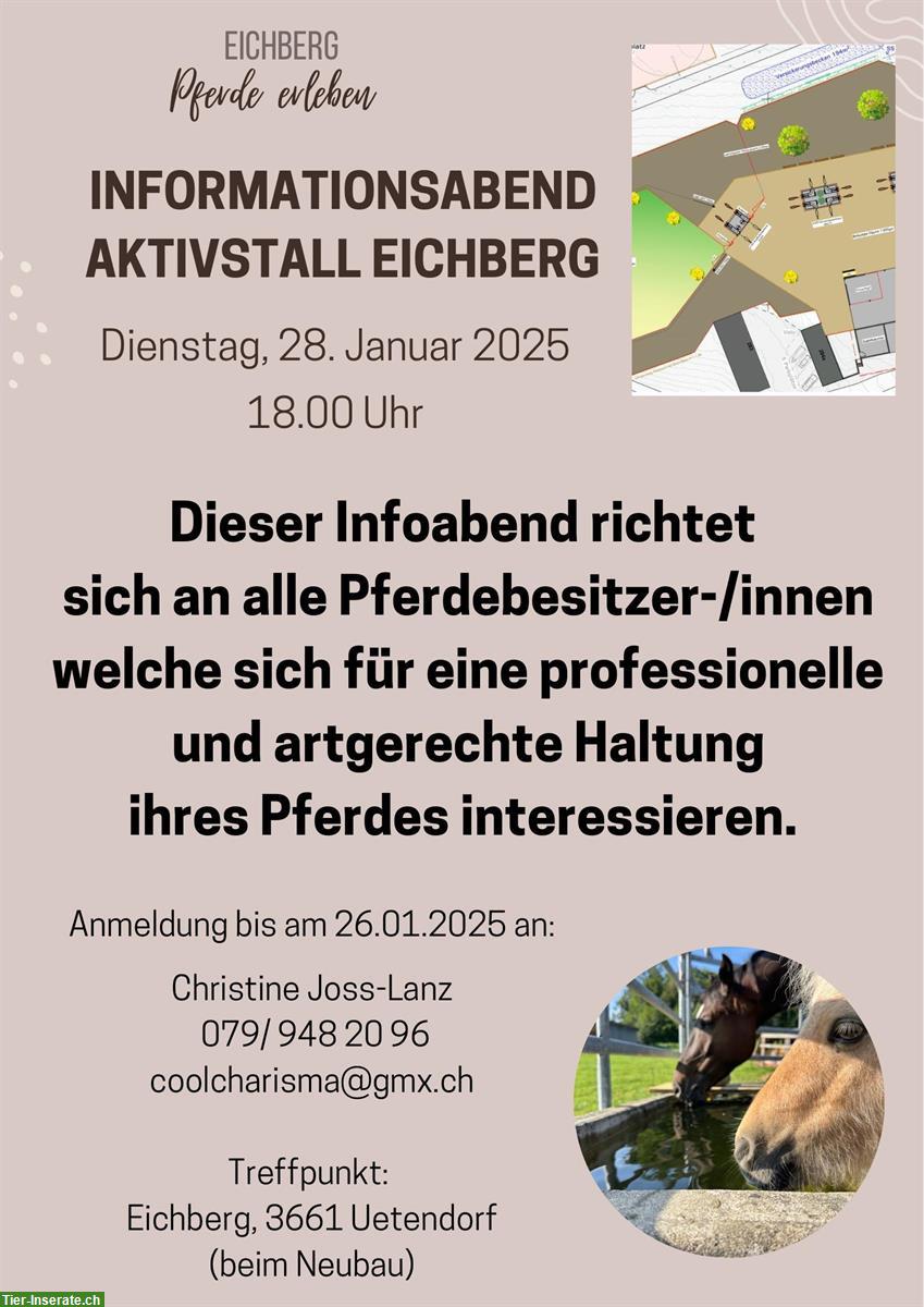 Informationsabend Aktivstall Eichberg in Uetendorf BE