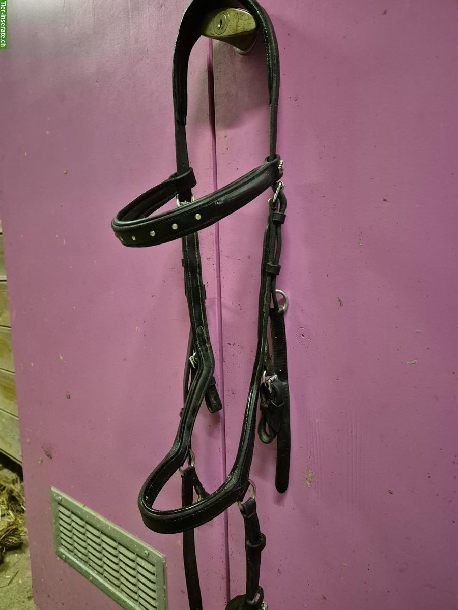 Horseware Rambo Micklem Competition Bridle, Full