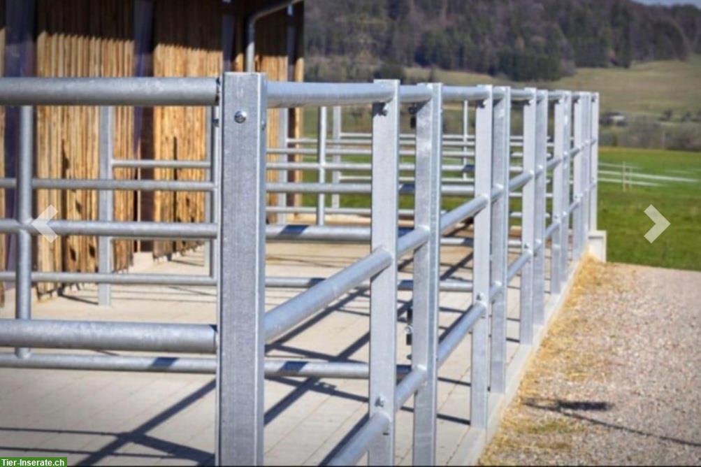 Bild 4: Paddockboxen frei auf unserer Reitanlage in Weilheim BW