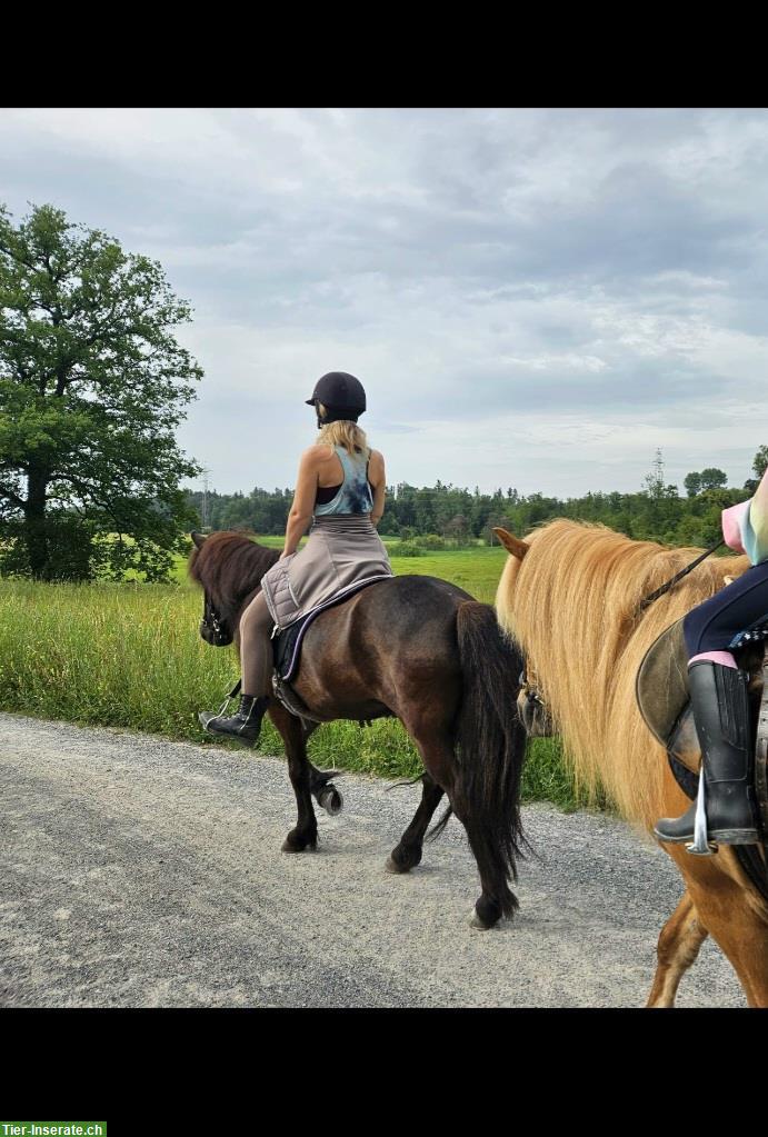 Reitbeteiligung gesucht, ZH-Oberland