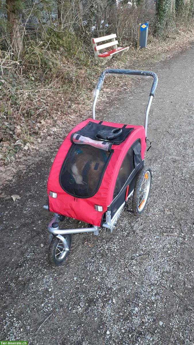 Hundewagen, Anhänger für Hunde bis 25kg