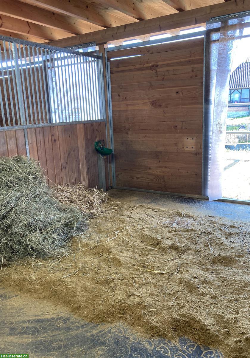 Bild 7: Auslaufbox zu vermieten im Berner Seeland