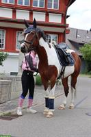 Reitbeteiligung mit coolen Möglichkeiten