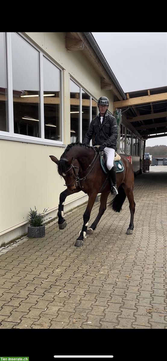 Bild 10: Reitbeteiligung mit coolen Möglichkeiten