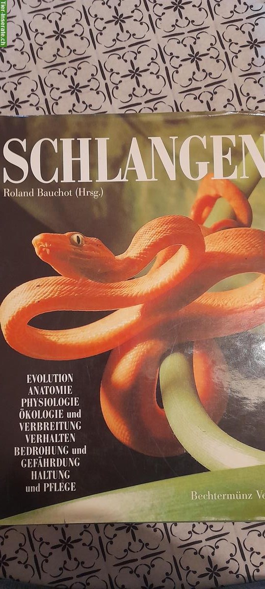 Bild 3: Diverse Tierratgeber über Schlangen, Frösche, Phasmiden