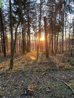 Biete Ferien- und Abwesenheitsbetreuung deines Pferdes