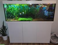 Juwel Aquarium 450 Liter, 150x60x60cm mit Zubehör