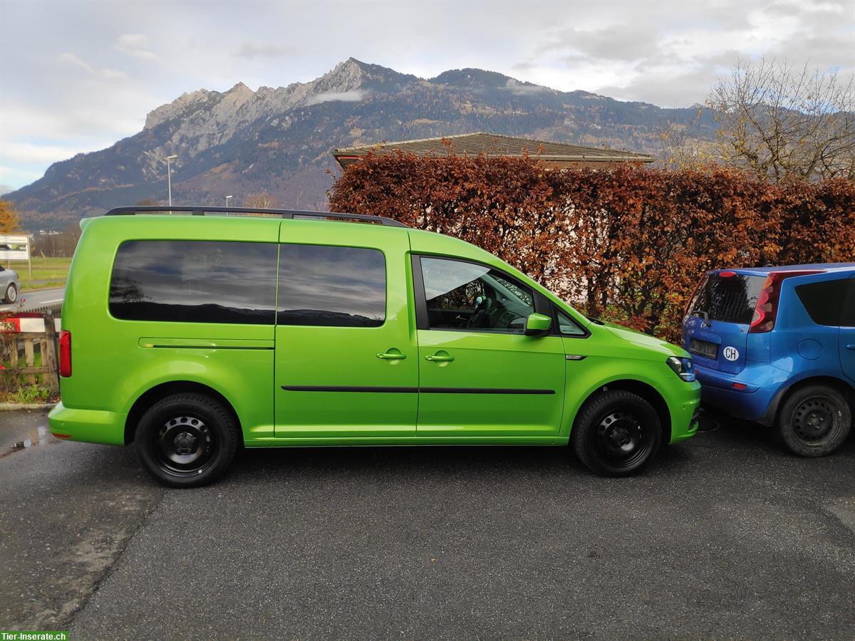 Bild 7: VW Caddy Maxi 1.4 TSI inkl Boxenausbau