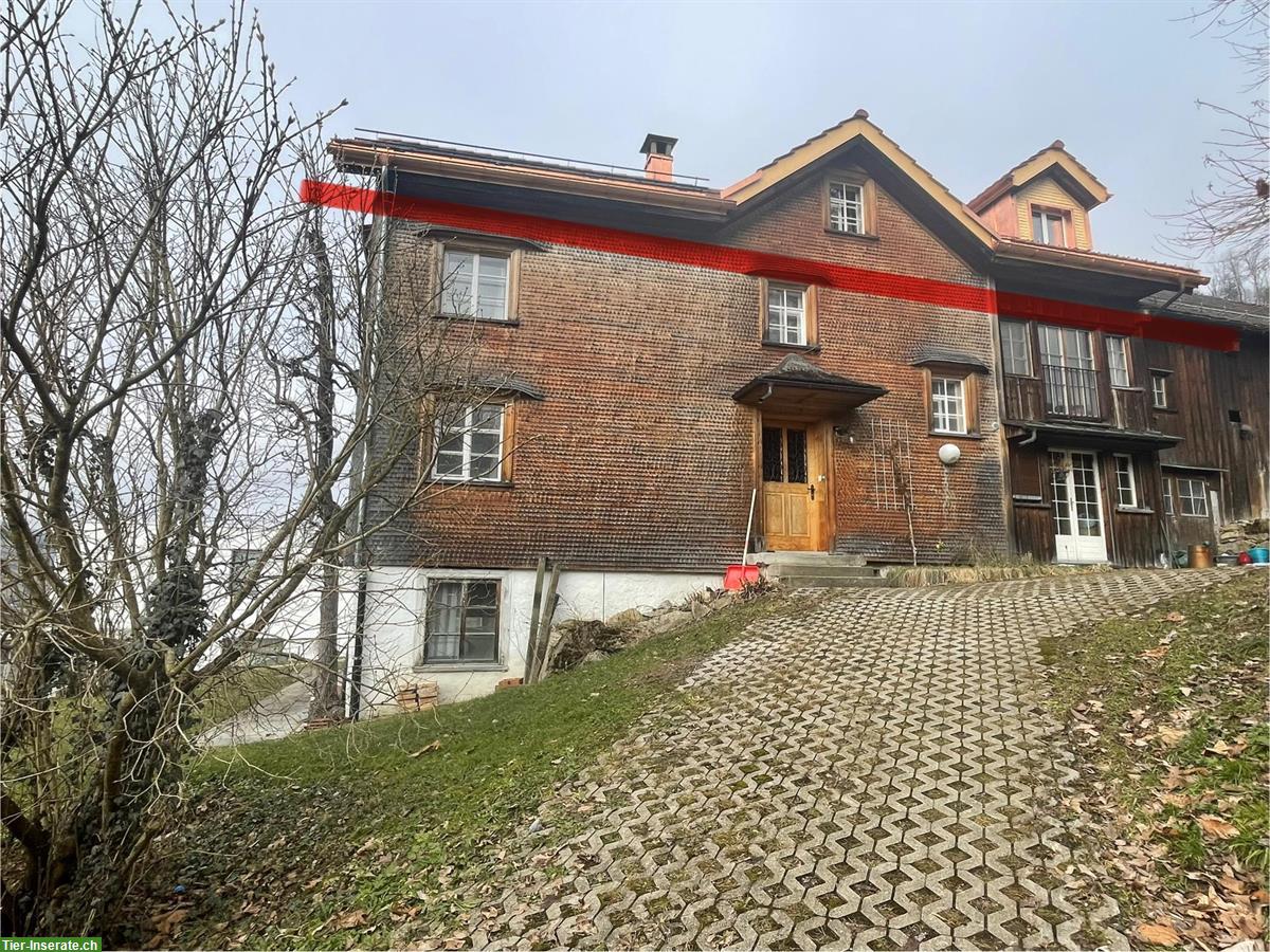 Bild 2: Vermieten 2/3 Haus / Wohnung mit Sitzplatz im Toggenburg