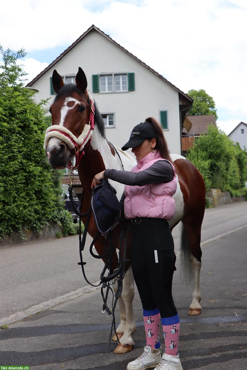 Coaching Pro Equi - auch für Reitanfänger geeignet