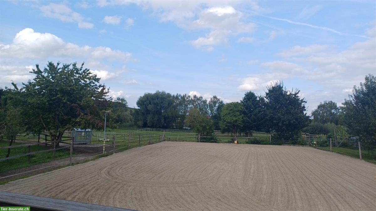 Bild 2: 1 Auslaufboxe zu vermieten in Moosseedorf