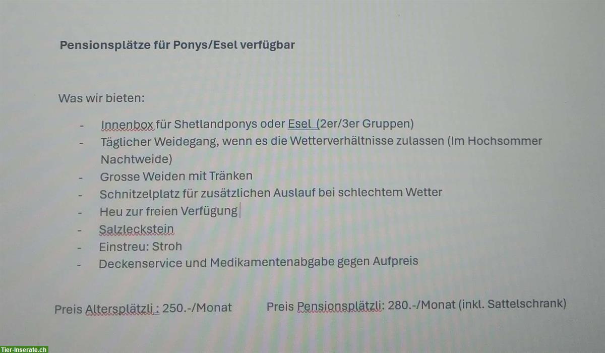 Pensionsplätze für Ponys/Esel verfügbar