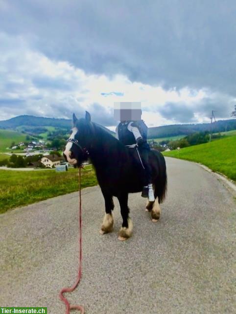 Kinderreitstunden und erstes Kennenlernen mit dem Pferd