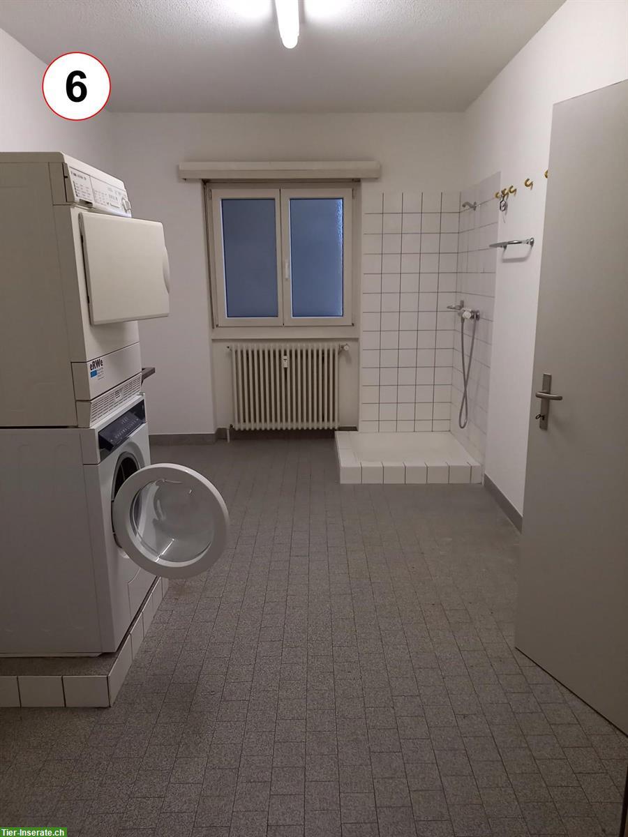 Bild 5: Grosszügige Wohnung 3½ Zimmer in 8954 Geroldswil ZH