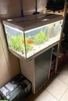 Eheim Becken Aquastar 54 mit Schrank, LED, Filter & Heizstab