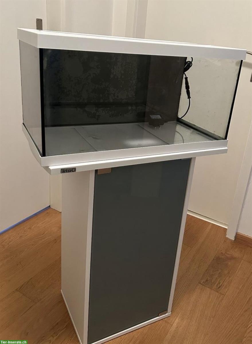 Bild 2: Eheim Becken Aquastar 54 mit Schrank, LED, Filter & Heizstab