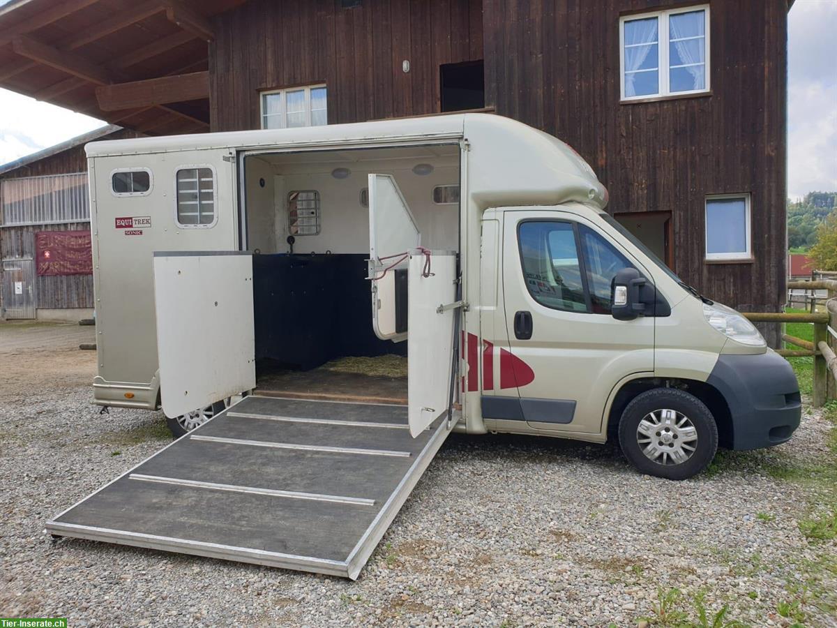 Selbstfahrer Pferdetransporter 2 Pferde, Peugeot Boxer