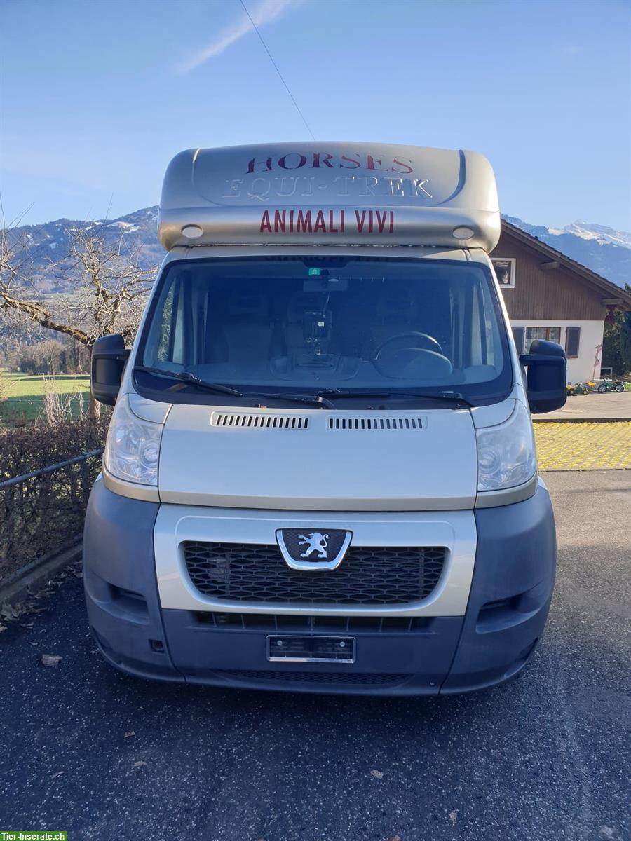 Bild 4: Selbstfahrer Pferdetransporter 2 Pferde, Peugeot Boxer