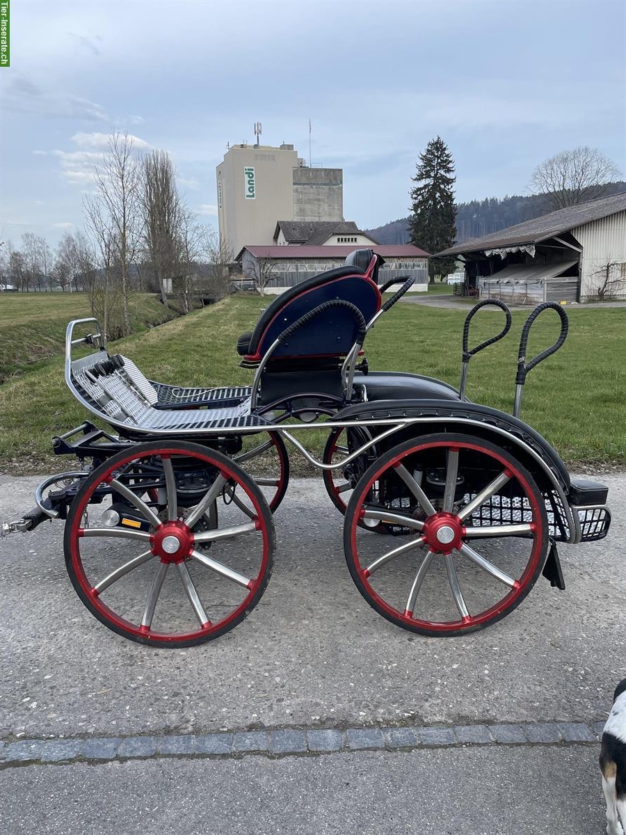 Neuwertiger Kibele Marathonwagen, 2-spännig