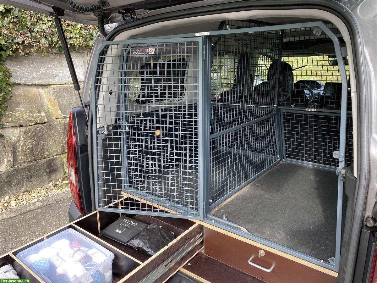 Bild 5: Peugeot Rifter Occasion mit massgefertigter Hundebox