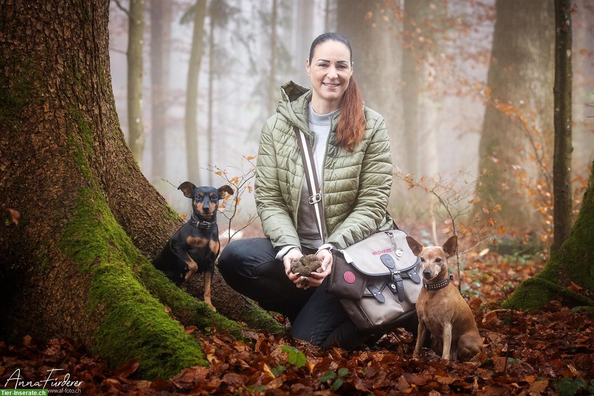 Bild 2: Trüffelkurs - mit deinem Hund Trüffel suchen und finden