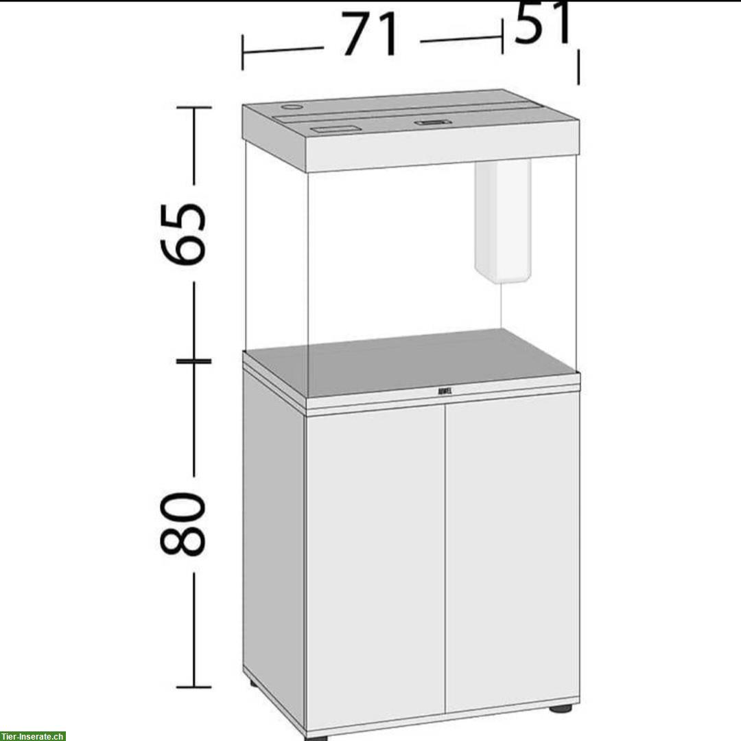 Bild 3: Juwel Aquarium Lido 200 komplett mit Fische