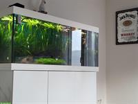 Juwel Aquarium 450 Liter mit diversem Zubehör